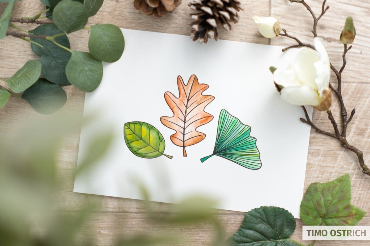 Pin by Silver Dove on leather work | Leaf coloring page, Leaf clipart, Clip  art