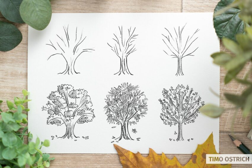 Drawing leaves on the tree