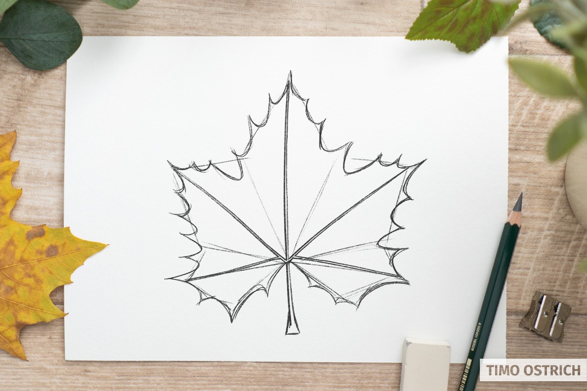 leaf pencil outline
