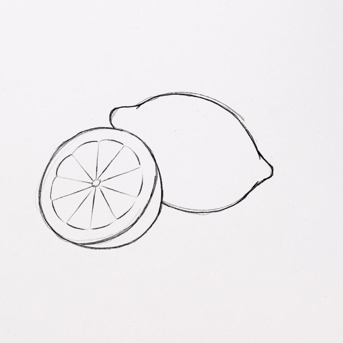 How to draw Lemon | Lemon drawing, Drawings, Easy drawings