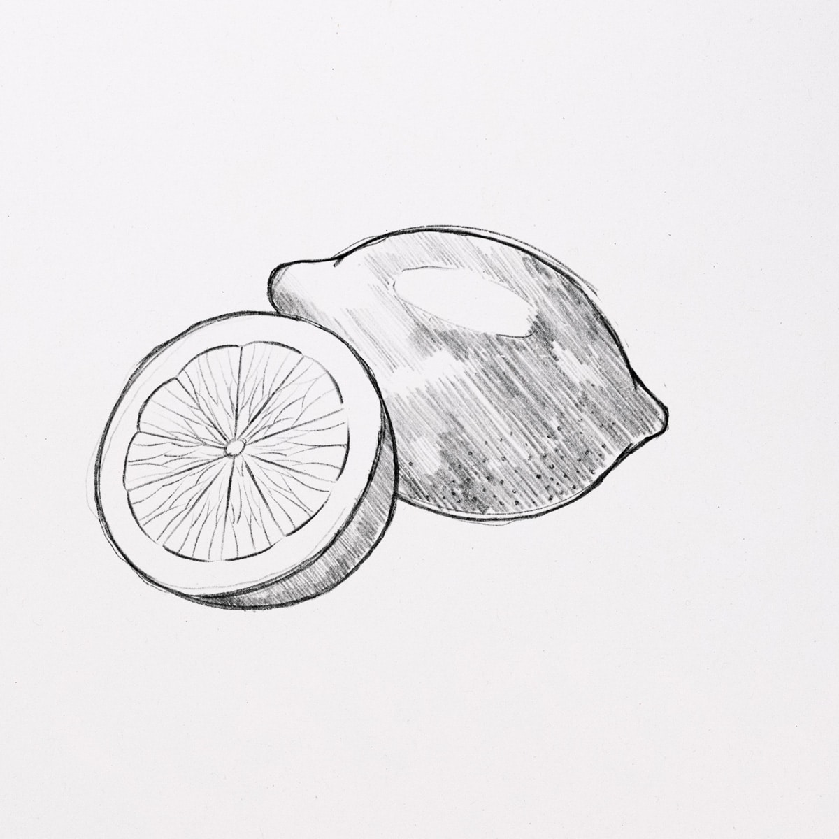 How To Draw A Lemon easy Step By Step 