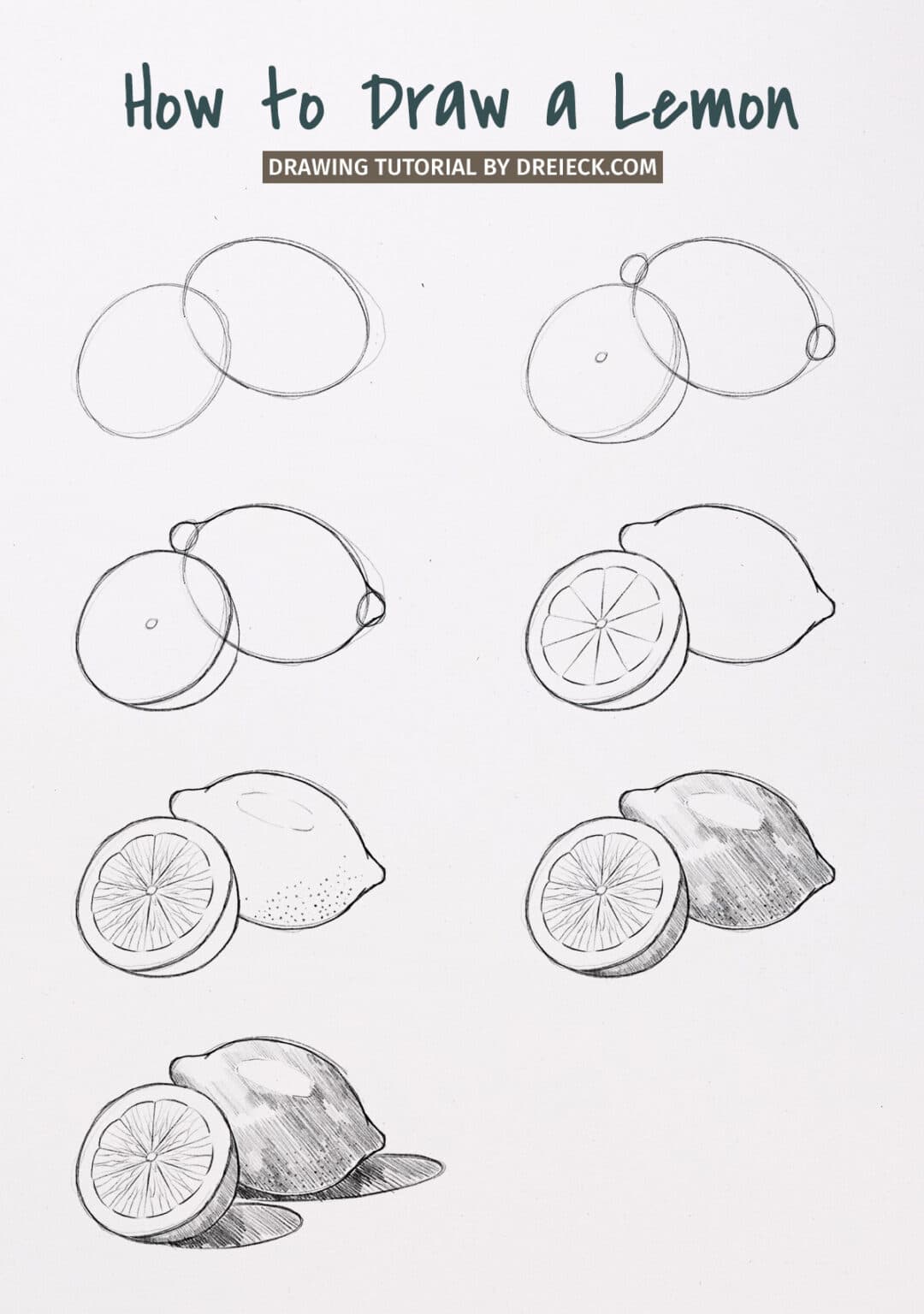 How to Draw a Lemon (easy step by step) 🍋