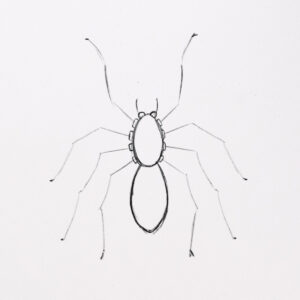 How to Draw a Spider (with amazing details) 🕷️