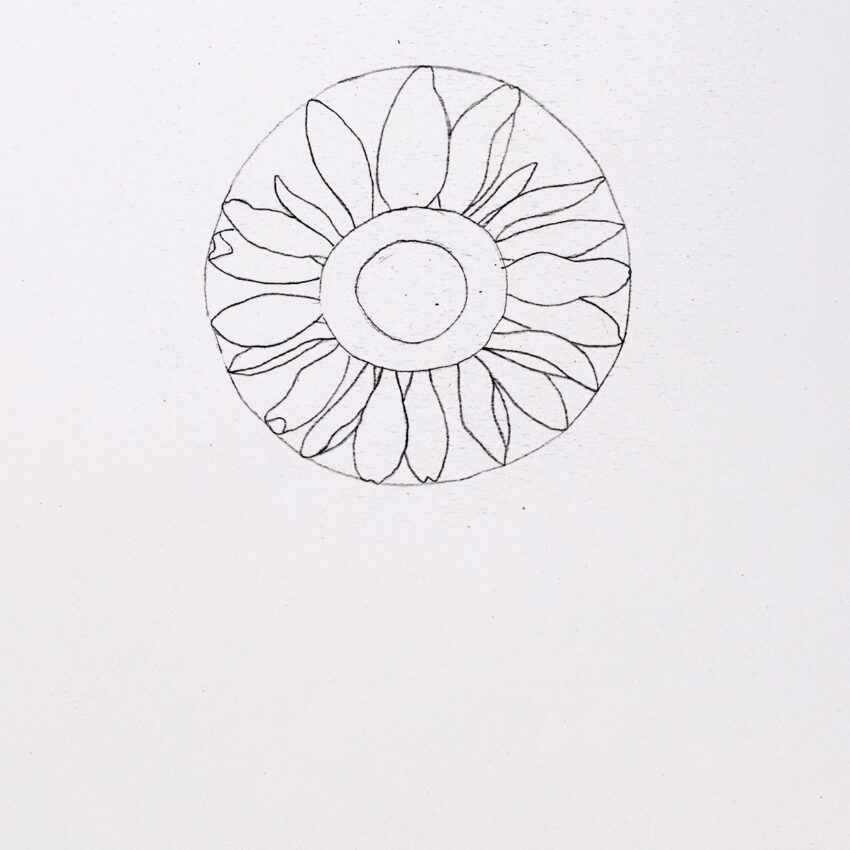Drawing the first petals