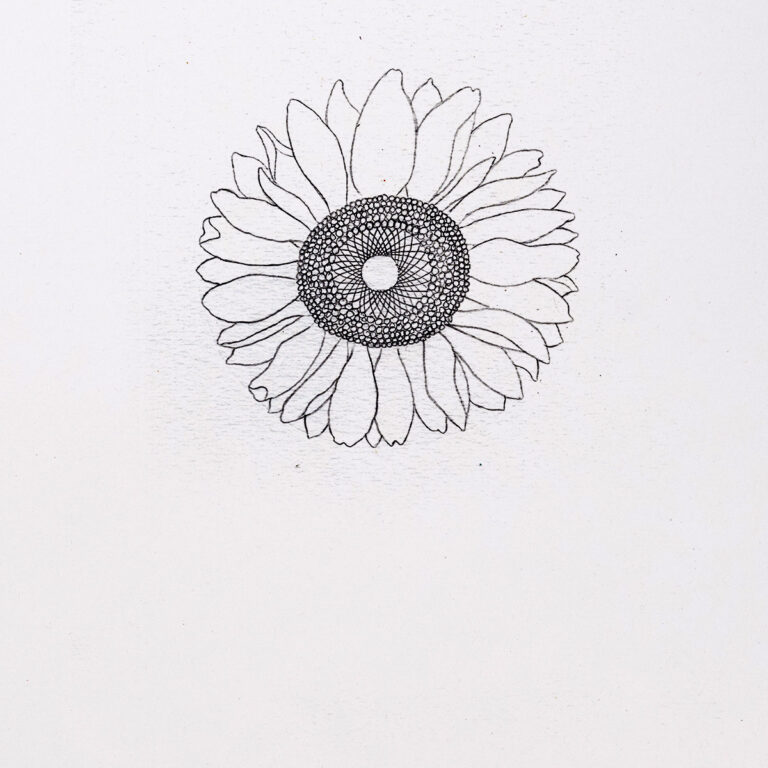 How to Draw a Sunflower (very realistic) 🌻