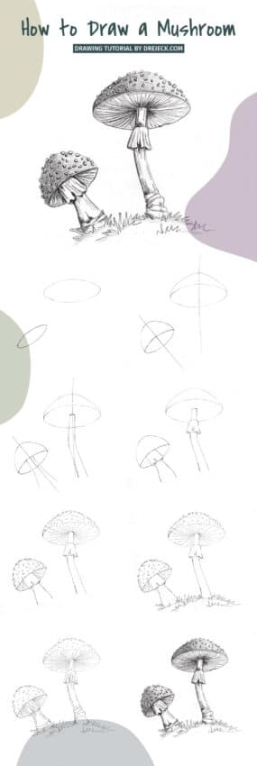 How to draw a mushroom step by step