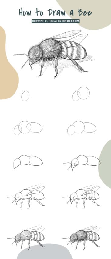 How to draw a bee step by step images
