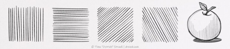 Parallel Hatching Drawing Insect Hatching: Learn the most important drawing techniques right now