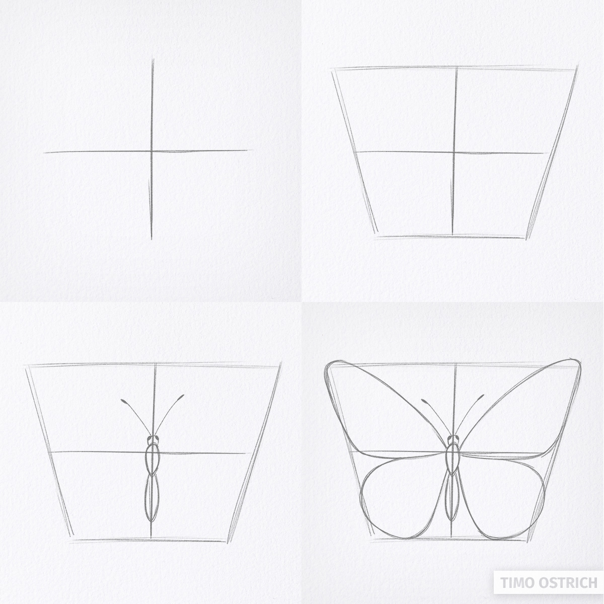 Aquarell Schmetterling malen (einfach oder realistisch) 🦋