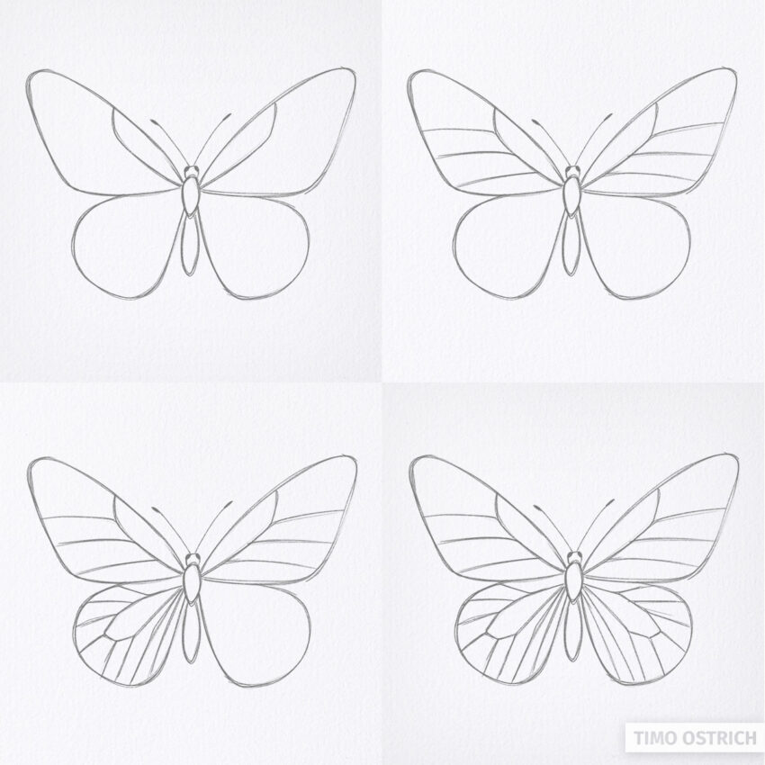 Schmetterlingsflügel zeichnen