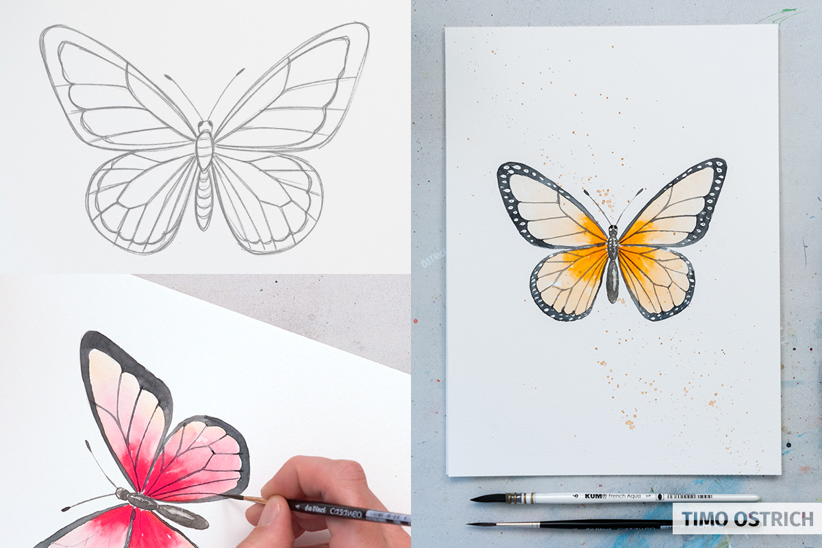 Schmetterling malen Schritt für Schritt